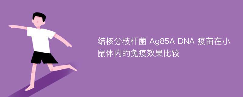 结核分枝杆菌 Ag85A DNA 疫苗在小鼠体内的免疫效果比较