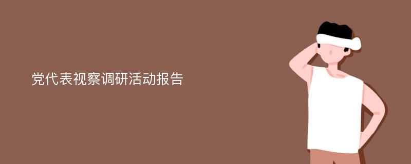 党代表视察调研活动报告