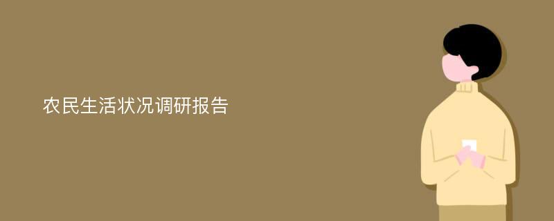 农民生活状况调研报告