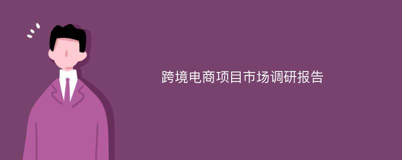 跨境电商项目市场调研报告