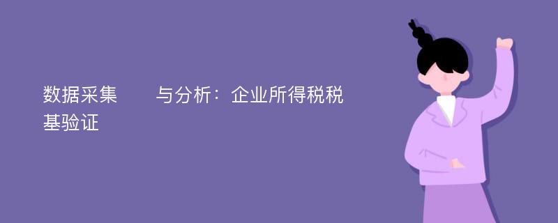 数据采集​​与分析：企业所得税税基验证