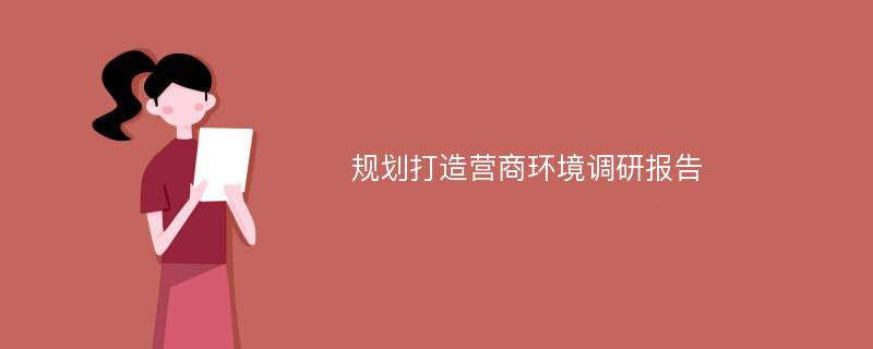 规划打造营商环境调研报告