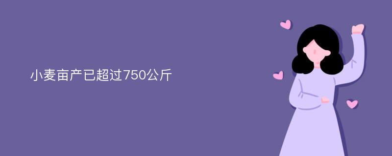 小麦亩产已超过750公斤