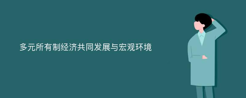 多元所有制经济共同发展与宏观环境