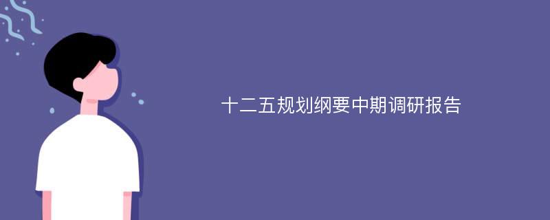 十二五规划纲要中期调研报告