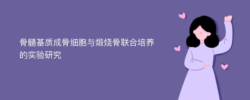 骨髓基质成骨细胞与煅烧骨联合培养的实验研究