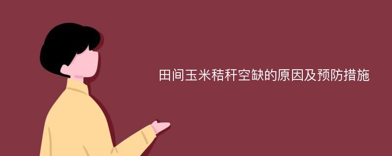 田间玉米秸秆空缺的原因及预防措施