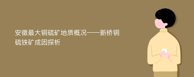 安徽最大铜硫矿地质概况——新桥铜硫铁矿成因探析