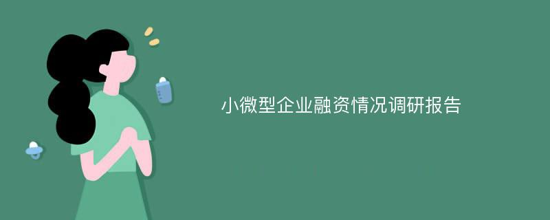 小微型企业融资情况调研报告