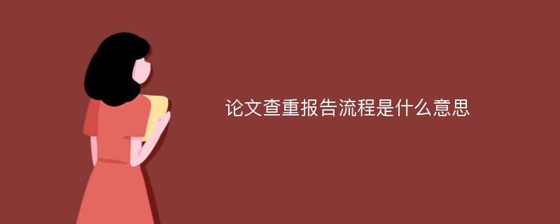 论文查重报告流程是什么意思